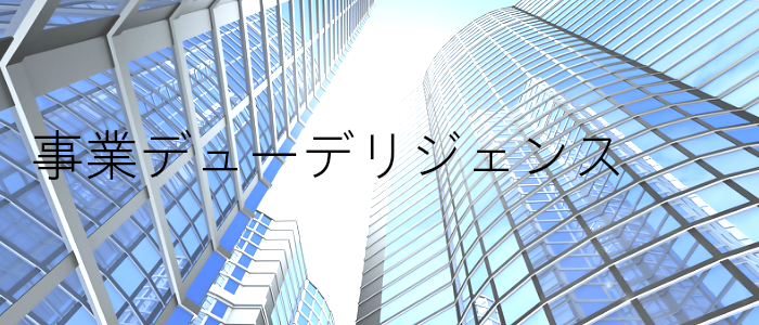 緻密な事業デューデリジェンスを実施